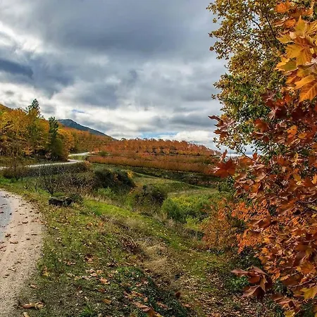 מלון Nogueira Fundão
