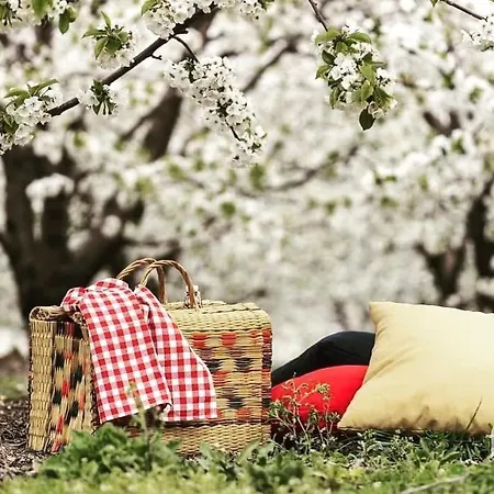 Nogueira מלון 3*