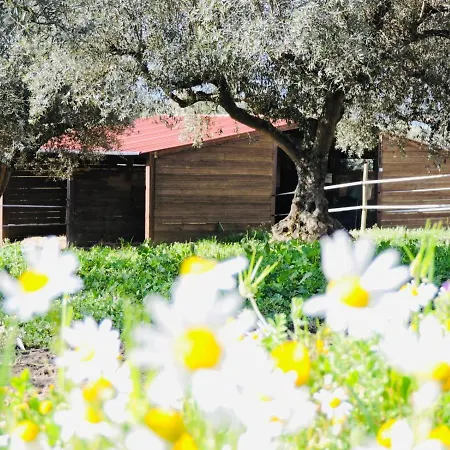Nogueira Country House Casa rural