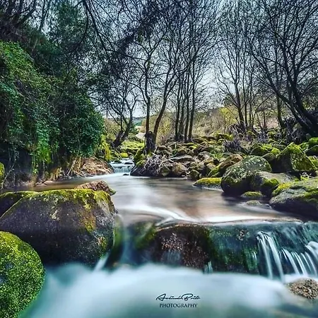 Nogueira מלון 3*