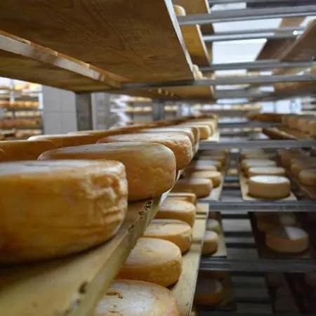 Nogueira מלון Fundão