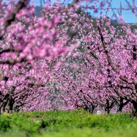 Nogueira מלון Fundão