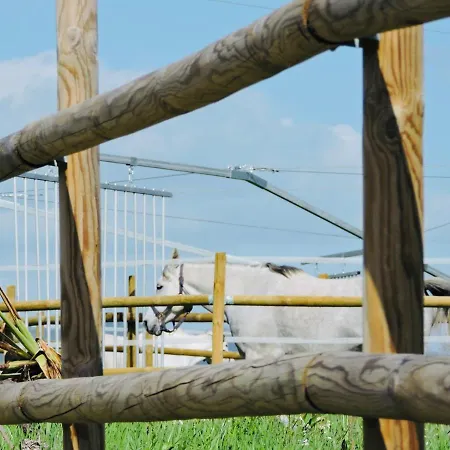 מלון Nogueira Fundão