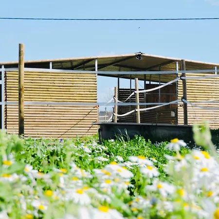 מלון Nogueira 3*