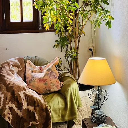 Nogueira Country House Fundão