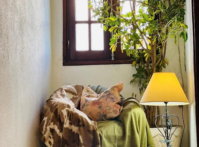 Nogueira מלון Fundão