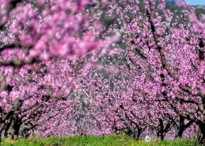 Nogueira מלון Fundão