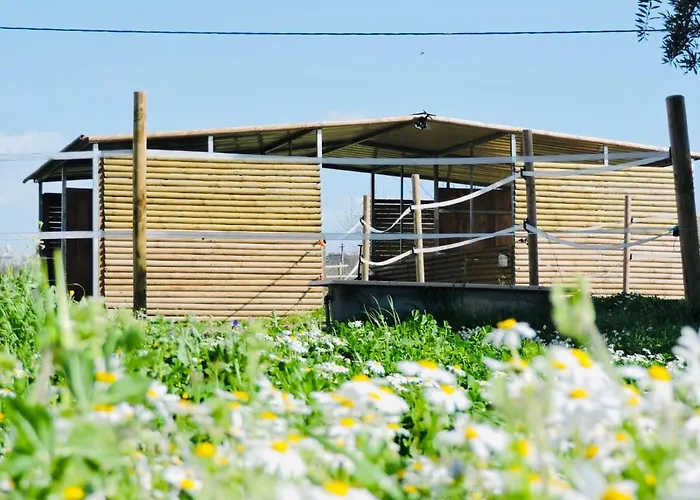 מלון Nogueira 3*